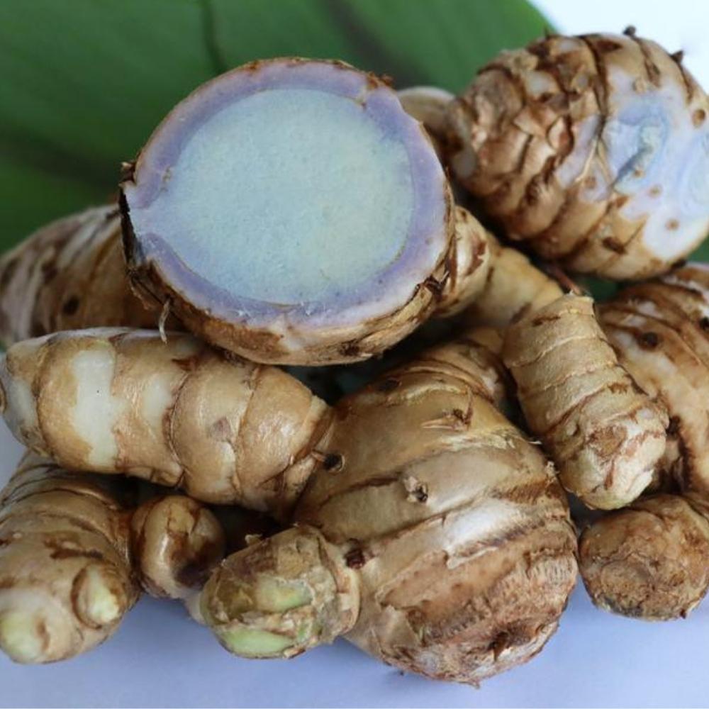 black-turmeric-supplier