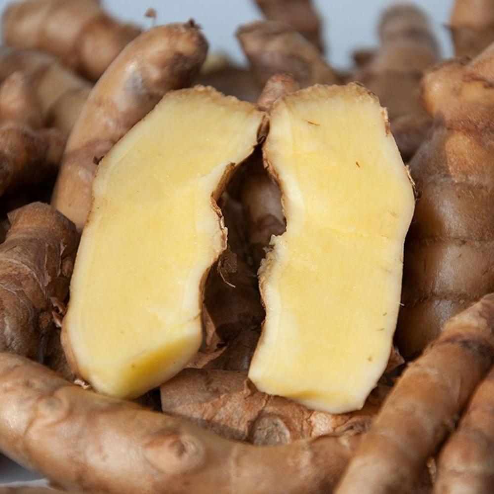 white-turmeric-supplier